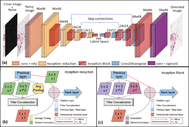 Figure 1 for Blind microscopy image denoising with a deep residual and multiscale encoder/decoder network