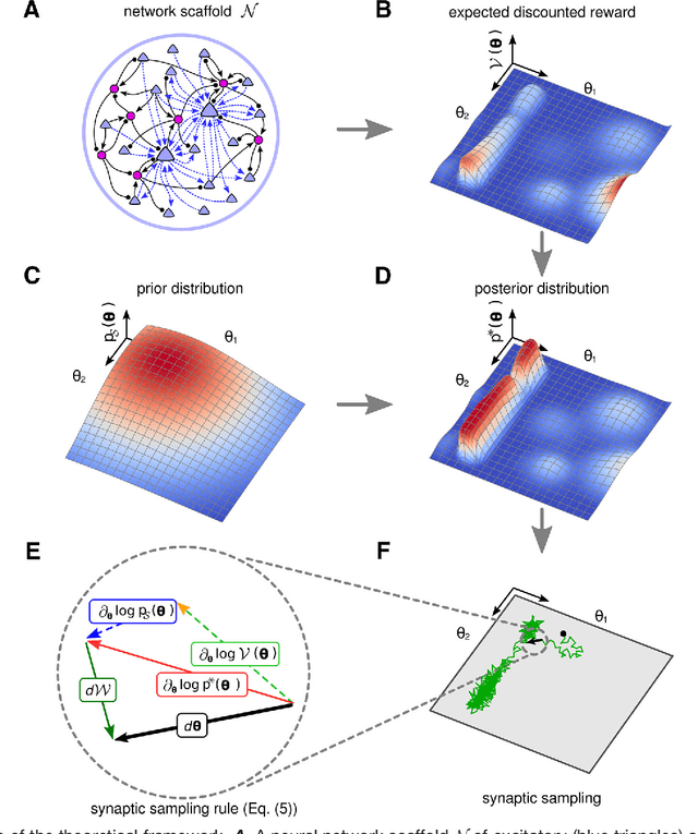 Figure 1 for A dynamic connectome supports the emergence of stable computational function of neural circuits through reward-based learning