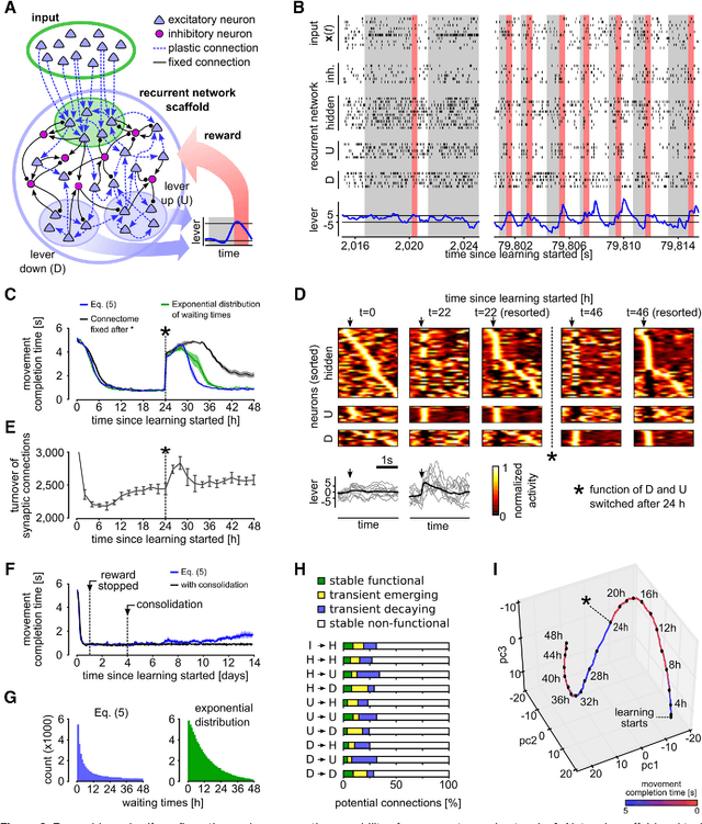 Figure 4 for A dynamic connectome supports the emergence of stable computational function of neural circuits through reward-based learning