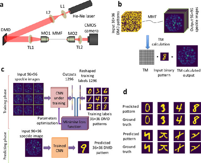 Figure 1 for Deep learning the high variability and randomness inside multimode fibres
