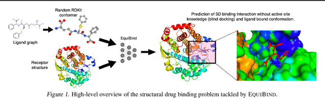 Figure 1 for EquiBind: Geometric Deep Learning for Drug Binding Structure Prediction