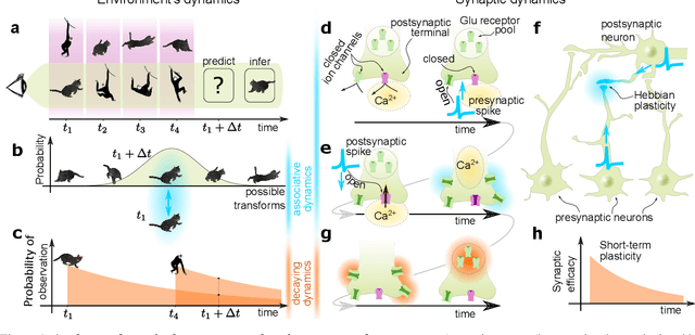 Figure 1 for Short-term synaptic plasticity optimally models continuous environments