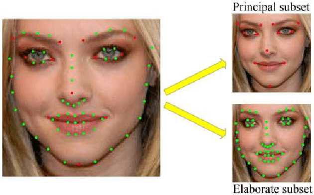 Figure 1 for Learning deep representation from coarse to fine for face alignment