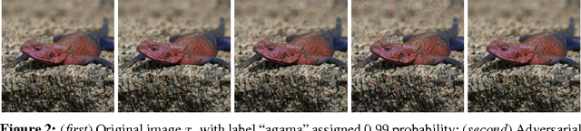 Figure 3 for A study of the effect of JPG compression on adversarial images