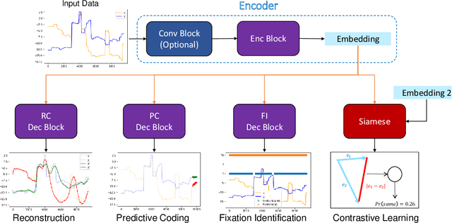 Figure 1 for Learning Oculomotor Behaviors from Scanpath