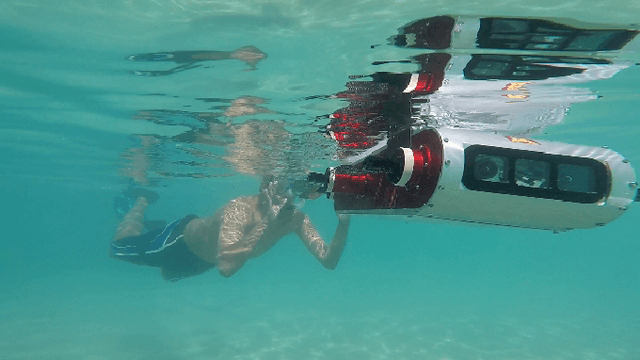 Figure 1 for Robot Communication Via Motion: Closing the Underwater Human-Robot Interaction Loop