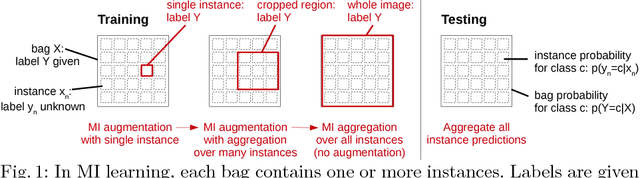 Figure 1 for Multiple Instance Learning for Heterogeneous Images: Training a CNN for Histopathology