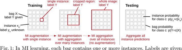 Figure 1 for Multiple Instance Learning for Heterogeneous Images: Training a CNN for Histopathology