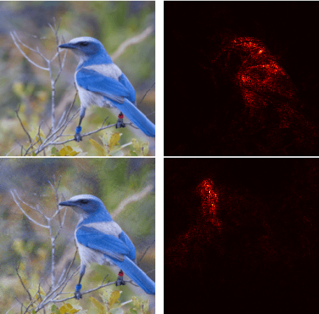 Figure 1 for On the Benefits of Attributional Robustness