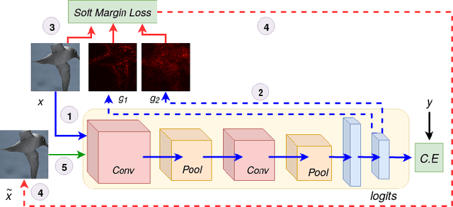 Figure 3 for On the Benefits of Attributional Robustness