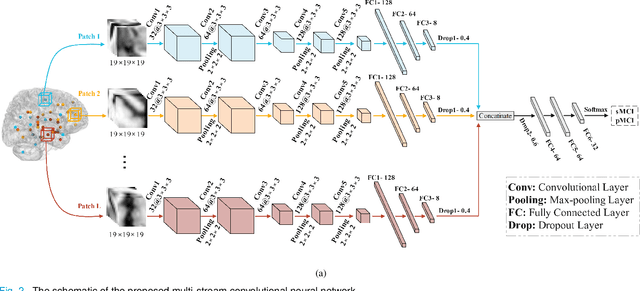 Figure 2 for A multi-stream convolutional neural network for classification of progressive MCI in Alzheimer's disease using structural MRI images