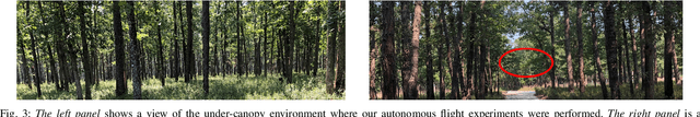 Figure 3 for Experiments in Adaptive Replanning for Fast Autonomous Flight in Forests
