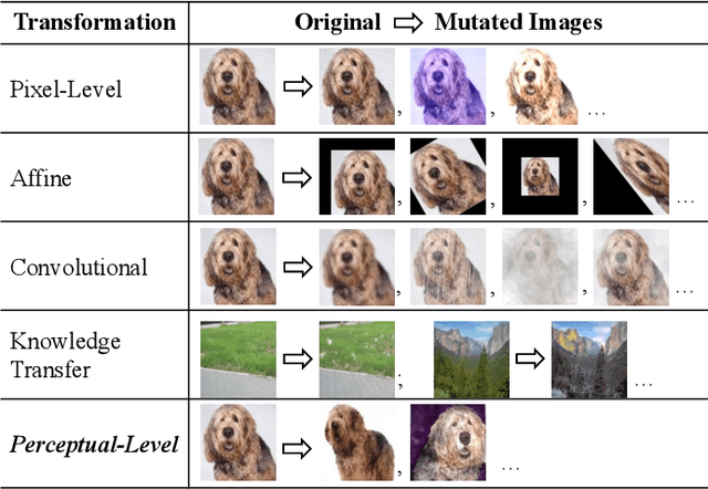 Figure 2 for Enhancing Deep Neural Networks Testing by Traversing Data Manifold