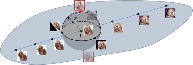 Figure 4 for Enhancing Deep Neural Networks Testing by Traversing Data Manifold