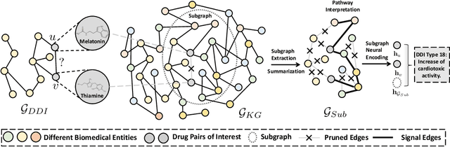 Figure 1 for SumGNN: Multi-typed Drug Interaction Prediction via Efficient Knowledge Graph Summarization