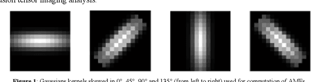 Figure 1 for Introducing Anisotropic Minkowski Functionals and Quantitative Anisotropy Measures for Local Structure Analysis in Biomedical Imaging