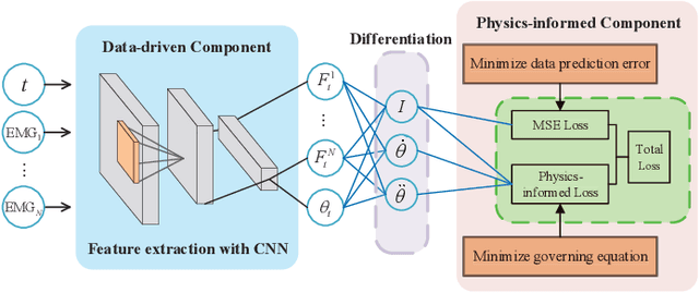 Figure 1 for Physics-informed Deep Learning for Musculoskeletal Modelling: Predicting Muscle Forces and Joint Kinematics from Surface EMG