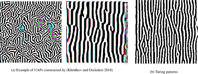 Figure 1 for Adversarial Turing Patterns from Cellular Automata
