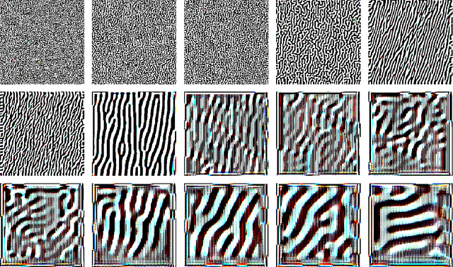 Figure 3 for Adversarial Turing Patterns from Cellular Automata