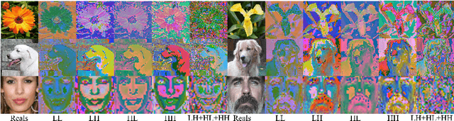 Figure 1 for WaveGAN: Frequency-aware GAN for High-Fidelity Few-shot Image Generation
