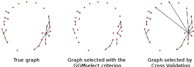 Figure 3 for Gaussian Graphical Model exploration and selection in high dimension low sample size setting