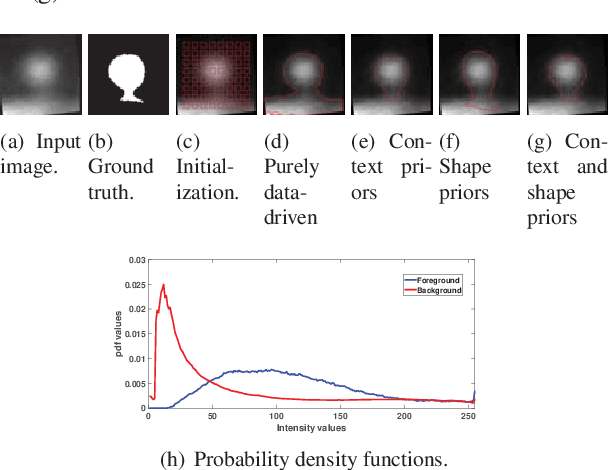 Figure 1 for Combining nonparametric spatial context priors with nonparametric shape priors for dendritic spine segmentation in 2-phoyon microscopy images
