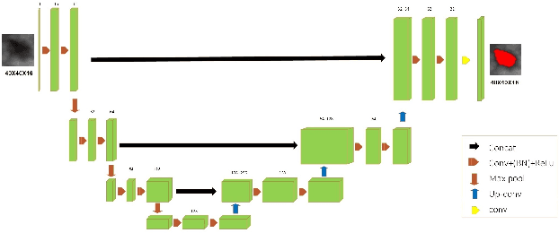 Figure 3 for Mass Segmentation in Automated 3-D Breast Ultrasound Using Dual-Path U-net