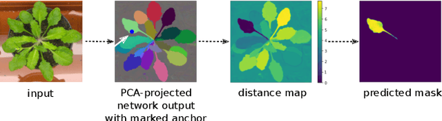 Figure 1 for Sparse Object-level Supervision for Instance Segmentation with Pixel Embeddings