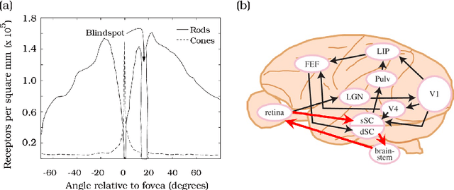 Figure 2 for Saliency Preservation in Low-Resolution Grayscale Images