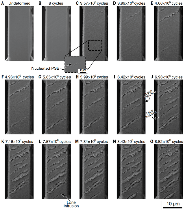 Figure 1 for Microstructure Surface Reconstruction from SEM Images: An Alternative to Digital Image Correlation (DIC)