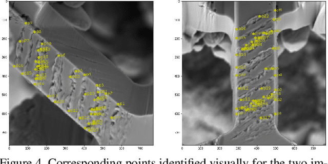 Figure 4 for Microstructure Surface Reconstruction from SEM Images: An Alternative to Digital Image Correlation (DIC)