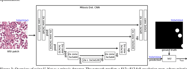 Figure 3 for Field Of Interest Proposal for Augmented Mitotic Cell Count: Comparison of two Convolutional Networks