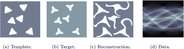 Figure 1 for Image reconstruction through metamorphosis