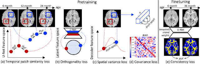 Figure 2 for Local Spatiotemporal Representation Learning for Longitudinally-consistent Neuroimage Analysis