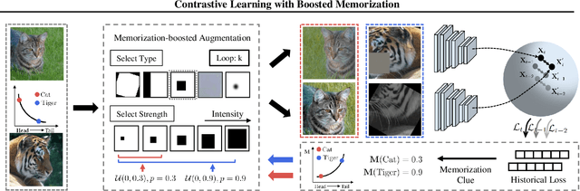 Figure 3 for Contrastive Learning with Boosted Memorization