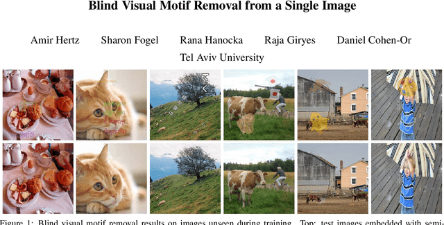 Figure 1 for Blind Visual Motif Removal from a Single Image