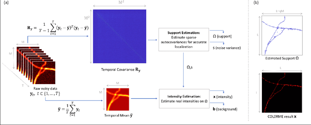 Figure 1 for COL0RME: Super-resolution microscopy based on sparse blinking fluorophore localization and intensity estimation