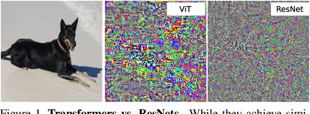 Figure 1 for Understanding Robustness of Transformers for Image Classification