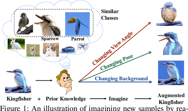 Figure 1 for Imagine by Reasoning: A Reasoning-Based Implicit Semantic Data Augmentation for Long-Tailed Classification