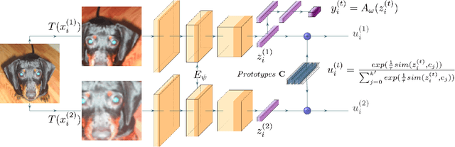 Figure 1 for Information Maximization Clustering via Multi-View Self-Labelling