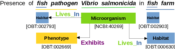 Figure 1 for Linguistically Informed Relation Extraction and Neural Architectures for Nested Named Entity Recognition in BioNLP-OST 2019