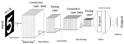 Figure 1 for Portuguese Man-of-War Image Classification with Convolutional Neural Networks