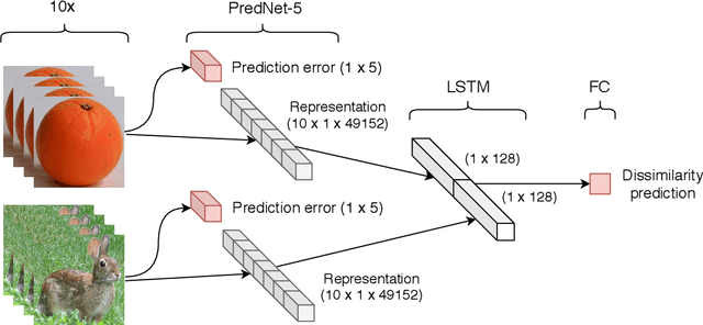 Figure 1 for Unsupervised predictive coding models may explain visual brain representation