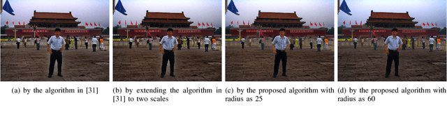 Figure 3 for Multi-Scale Single Image Dehazing Using Laplacian and Gaussian Pyramids