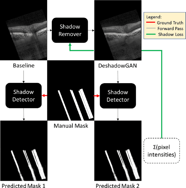 Figure 1 for DeshadowGAN: A Deep Learning Approach to Remove Shadows from Optical Coherence Tomography Images