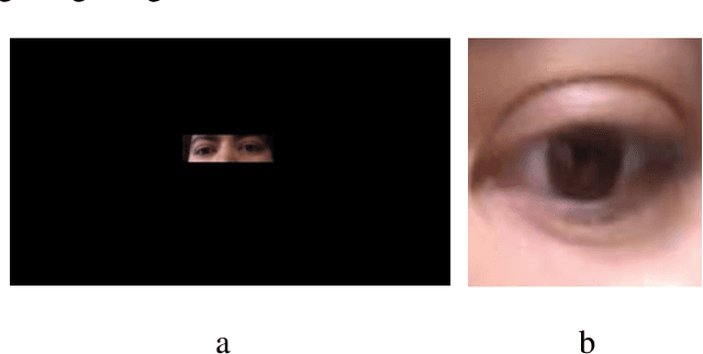 Figure 4 for Dataset for eye-tracking tasks
