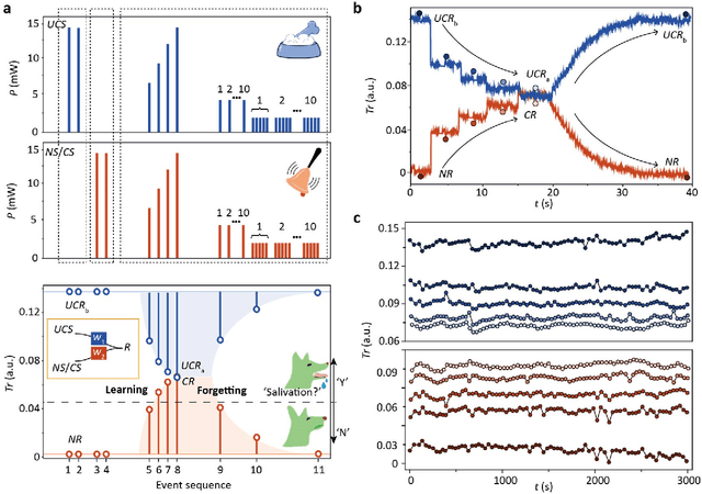 Figure 3 for Monadic Pavlovian associative learning in a backpropagation-free photonic network