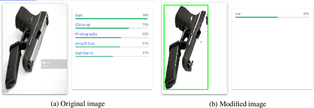 Figure 1 for Simple Transparent Adversarial Examples