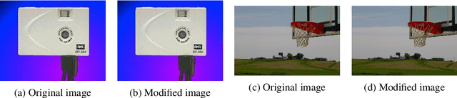 Figure 3 for Simple Transparent Adversarial Examples