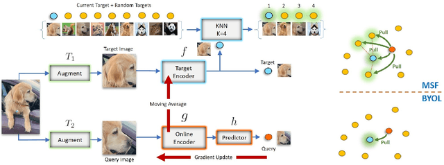 Figure 1 for Mean Shift for Self-Supervised Learning